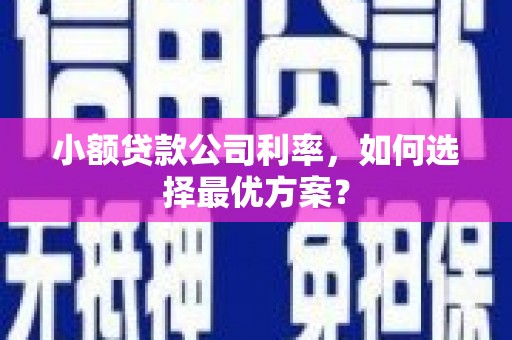 温宿小额贷款公司利率，如何选择最优方案？