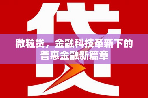 温宿微粒贷，金融科技革新下的普惠金融新篇章