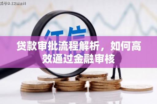 温宿贷款审批流程解析，如何高效通过金融审核
