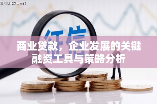 温宿商业贷款，企业发展的关键融资工具与策略分析