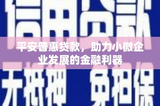 温宿平安普惠贷款，助力小微企业发展的金融利器