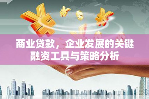 温宿商业贷款，企业发展的关键融资工具与策略分析