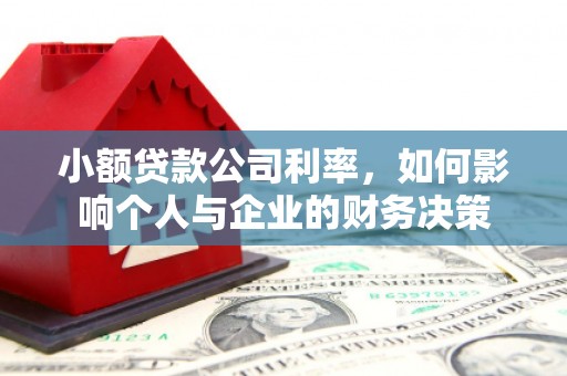 温宿小额贷款公司利率，如何影响个人与企业的财务决策