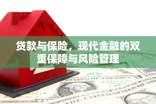温宿贷款与保险，现代金融的双重保障与风险管理