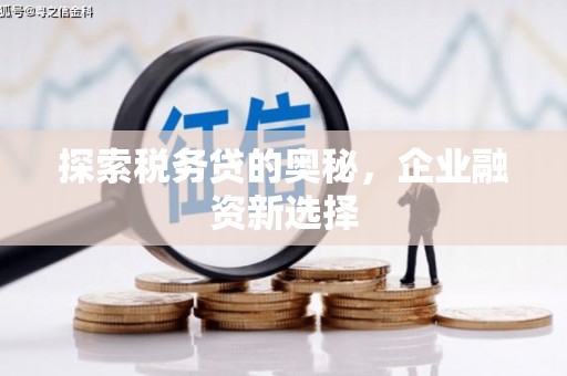 温宿探索税务贷的奥秘，企业融资新选择