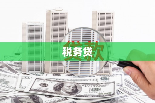 温宿税务贷
