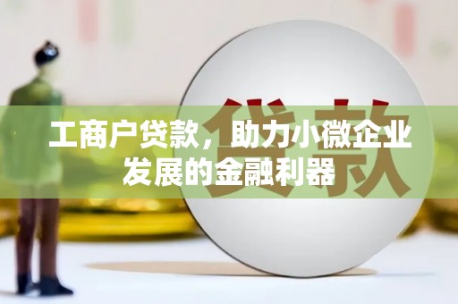 温宿工商户贷款，助力小微企业发展的金融利器