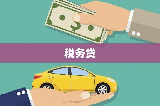 温宿税务贷