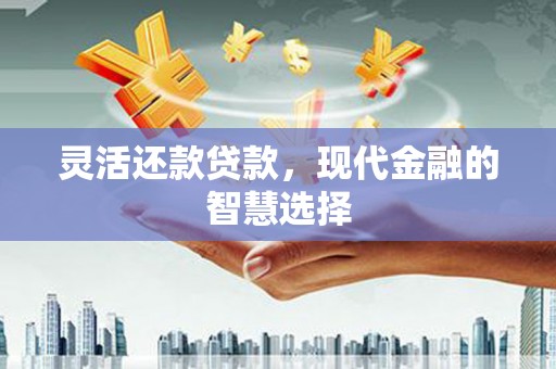 温宿灵活还款贷款，现代金融的智慧选择