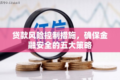 温宿贷款风险控制措施，确保金融安全的五大策略