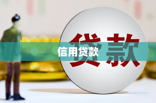 温宿信用贷款