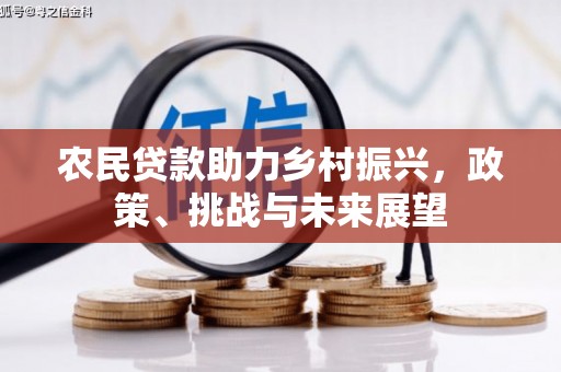 温宿农民贷款助力乡村振兴，政策、挑战与未来展望