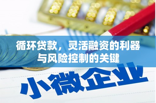 温宿循环贷款，灵活融资的利器与风险控制的关键
