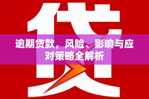 温宿逾期贷款，风险、影响与应对策略全解析