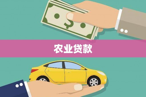 温宿农业贷款