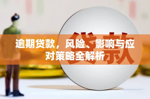 温宿逾期贷款，风险、影响与应对策略全解析