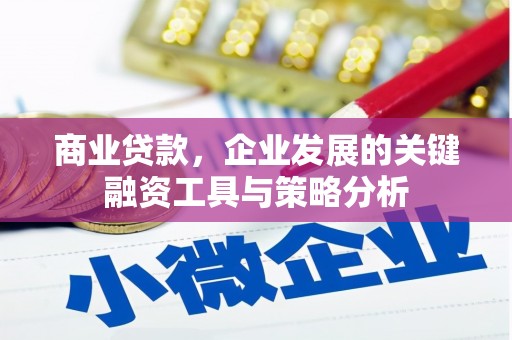 温宿商业贷款，企业发展的关键融资工具与策略分析