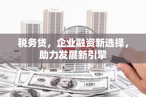 温宿税务贷，企业融资新选择，助力发展新引擎