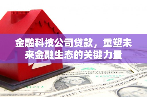 温宿金融科技公司贷款，重塑未来金融生态的关键力量