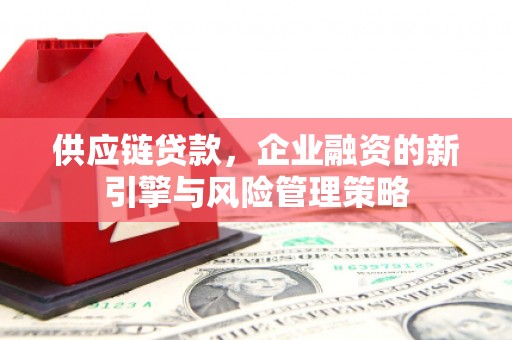 温宿供应链贷款，企业融资的新引擎与风险管理策略
