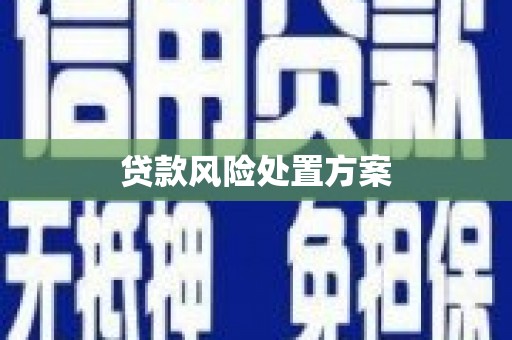 温宿贷款风险处置方案