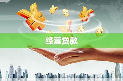 温宿经营贷款