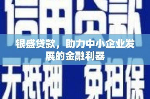温宿银盛贷款，助力中小企业发展的金融利器