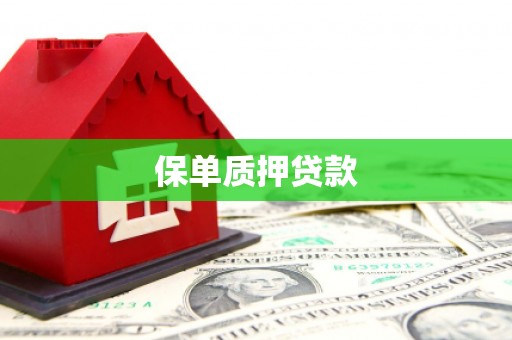温宿保单质押贷款