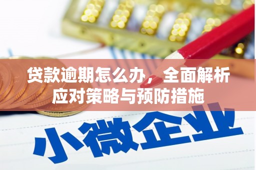 温宿贷款逾期怎么办，全面解析应对策略与预防措施