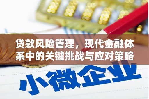 温宿贷款风险管理，现代金融体系中的关键挑战与应对策略