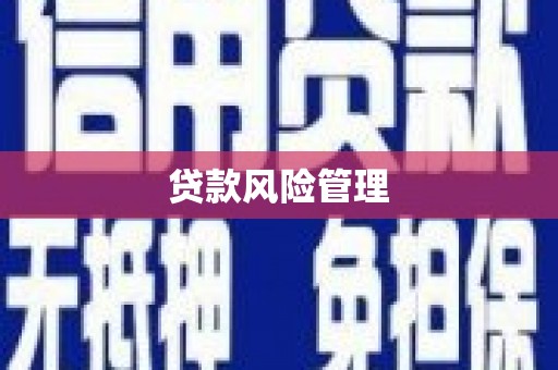 温宿贷款风险管理