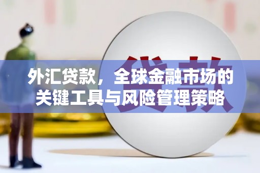 温宿外汇贷款，全球金融市场的关键工具与风险管理策略