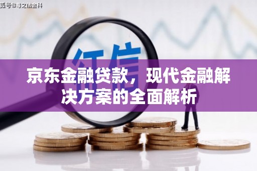 温宿京东金融贷款，现代金融解决方案的全面解析
