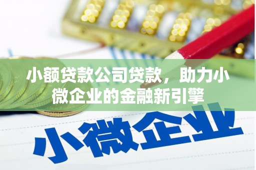 温宿小额贷款公司贷款，助力小微企业的金融新引擎