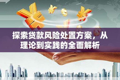 温宿探索贷款风险处置方案，从理论到实践的全面解析