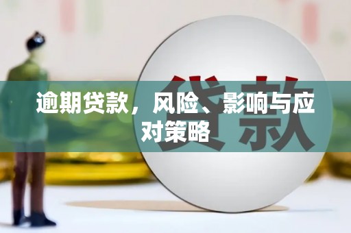 温宿逾期贷款，风险、影响与应对策略