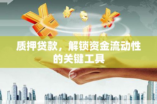 温宿质押贷款，解锁资金流动性的关键工具
