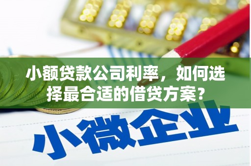 温宿小额贷款公司利率，如何选择最合适的借贷方案？