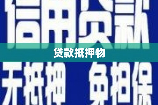 温宿贷款抵押物
