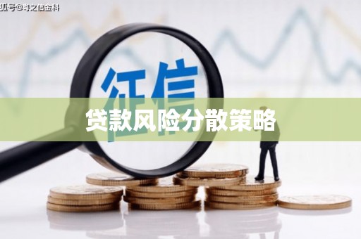 温宿贷款风险分散策略