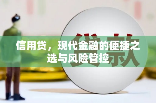 温宿信用贷，现代金融的便捷之选与风险管控