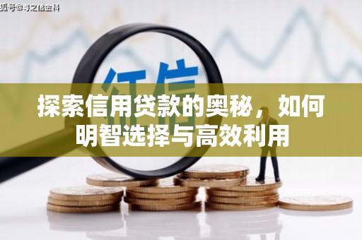温宿探索信用贷款的奥秘，如何明智选择与高效利用