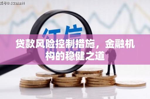 温宿贷款风险控制措施，金融机构的稳健之道