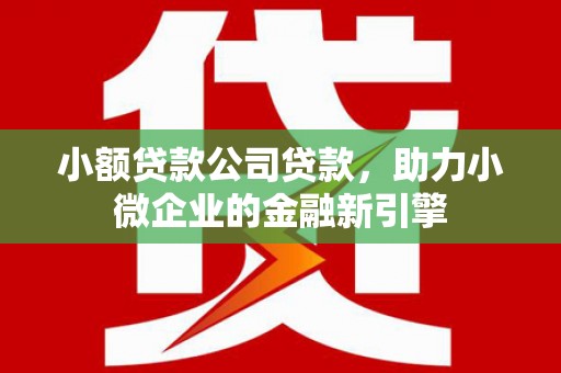 温宿小额贷款公司贷款，助力小微企业的金融新引擎