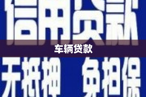温宿车辆贷款