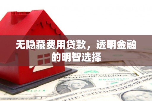 温宿无隐藏费用贷款，透明金融的明智选择