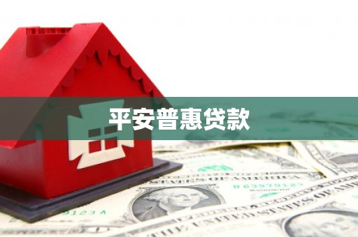 温宿平安普惠贷款