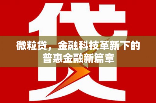 温宿微粒贷，金融科技革新下的普惠金融新篇章