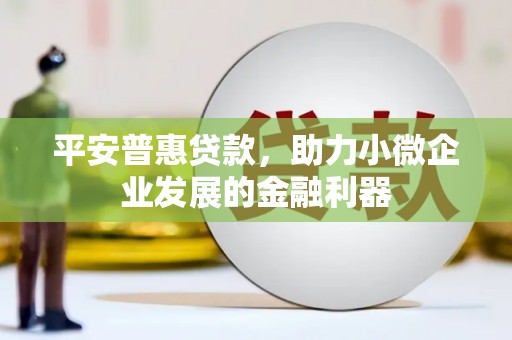 温宿平安普惠贷款，助力小微企业发展的金融利器