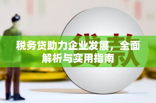 温宿税务贷助力企业发展，全面解析与实用指南